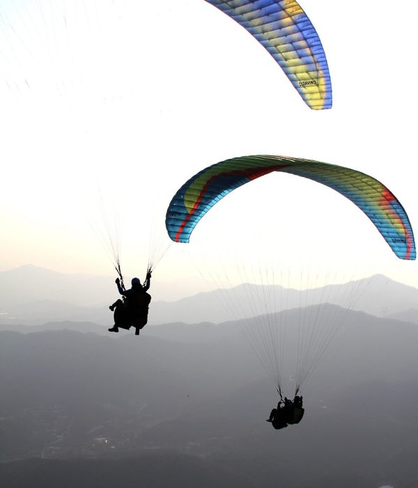 gliders-7320270_1280